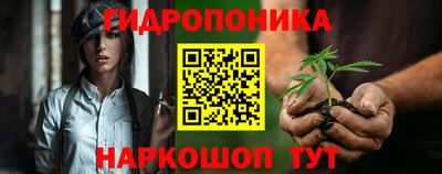 стаф Камышлов