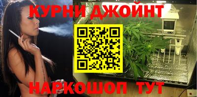 молекула духа Кандалакша